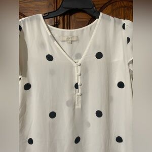 LOFT Women's Blouse with Black Polka Dots Medium Sheer Short  Sleeve